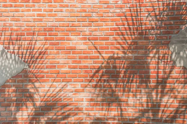 Tropical palma deixa sombras na parede de tijolo vermelho textura backgroun — Fotografia de Stock
