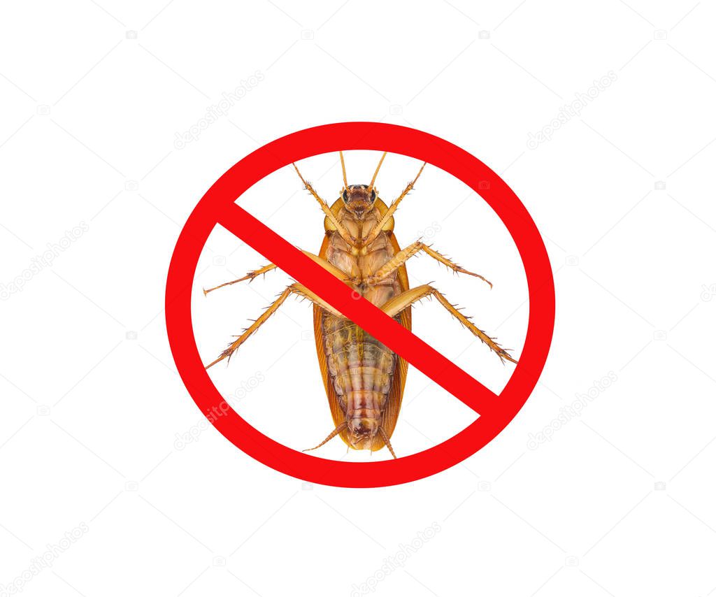 Images of cockroaches with red banned marks,  isolated on white 