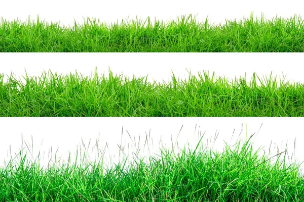 Green Grass Fronteira isolada em fundo branco.A coleção o — Fotografia de Stock