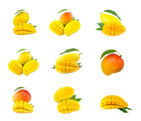 Mango vrucht met mango kubussen en segmenten. Geïsoleerd op een witte bac — Stockfoto