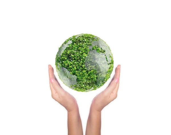 Ręce Trzymające Planetę Ziemia Wykonane Zielonego Drzewa Odizolowane Białym Tle — Zdjęcie stockowe