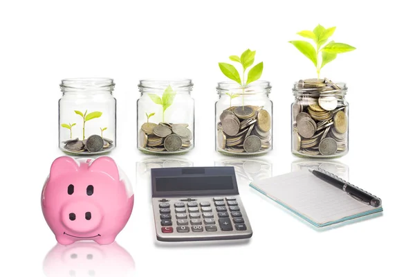 Pink Piggy Bank Calculator Money Growing Plant Step Deposit Coin — Stock Photo, Image