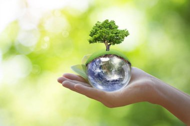 Dünya Elinde ve Bulanık Güzel Bokeh Bahçe Arka Plan . Gönüllü ellerde ağaç dikme ve yeşil toprak ile Dünya çevre günü kavramı. Nasa tarafından döşenmiş görüntünün unsuru