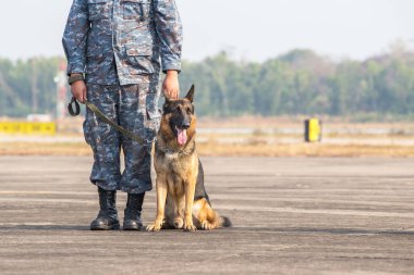 Akıllı polis köpeği dışarıda oturuyor. Sınır askerleri, köpeğin ihlalleri tespit edip teröristleri etkisiz hale getirme yeteneğini gösteriyor..