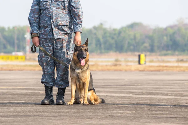 Smart Police Dog Sitting Outdoors Border Troops Demonstrate Dog Ability — Stock Photo, Image