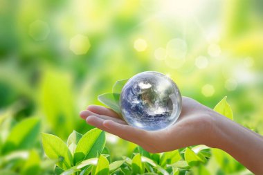 Dünya Elinde ve Bulanık Güzel Bokeh Bahçe Arka Plan . Gönüllü ellerde ağaç dikme ve yeşil toprak ile Dünya çevre günü kavramı. Nasa tarafından döşenmiş görüntünün unsuru