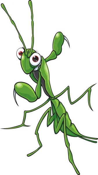 Een cartoon praying mantis — Stockvector