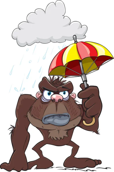 Gorila v dešti — Stockový vektor