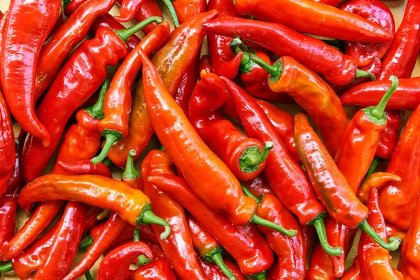 Red chili quente pimentas fundo textura padrão. Fecha. Paisagem. Um pano de fundo de pimenta vermelha quente. Mercado de vegetais de rua. Grupo de pimentas vermelhas de pimenta quente — Fotografia de Stock