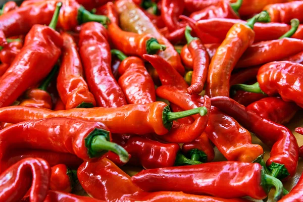 Red chili quente pimentas fundo textura padrão. Fecha. Paisagem. Um pano de fundo de pimenta vermelha quente. Mercado de vegetais de rua. Grupo de pimentas vermelhas de pimenta quente — Fotografia de Stock