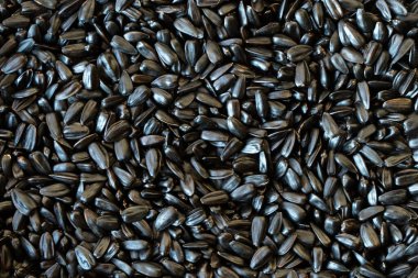 Siyah ayçiçeği tohumları, kare organik arkaplan