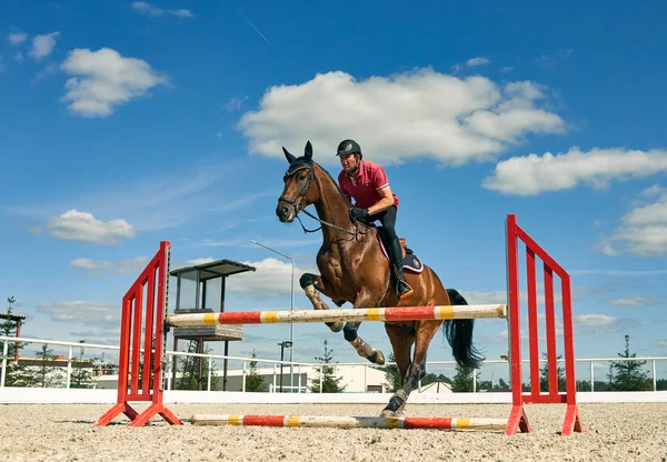 Treino equestre. O jóquei toma a barreira. show jumping Rússia Moscow escola equestre 09.08.2017 — Fotografia de Stock