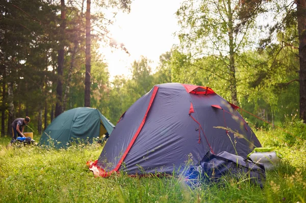 Tourist tents at sunset on the background of the forest — Stock Photo, Image