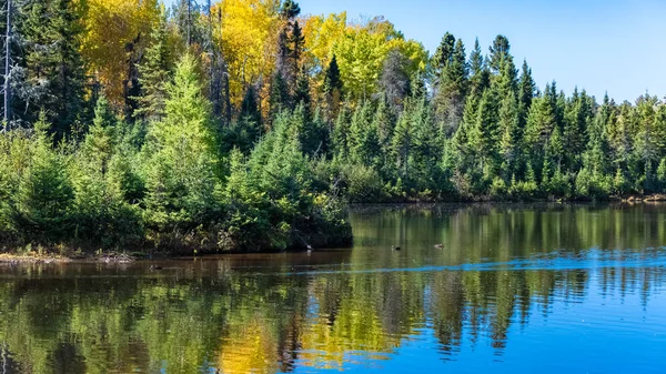 加拿大森林中的一个湖 在印度的夏天 树木的美丽的颜色 — 图库照片