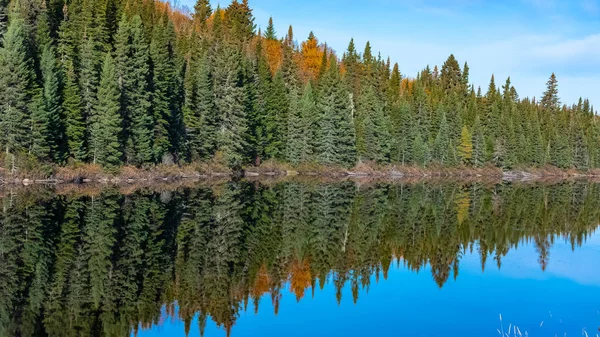 Kanada Panorama Jezera Lese Během Indického Léta Odraz Stromů Vodě — Stock fotografie