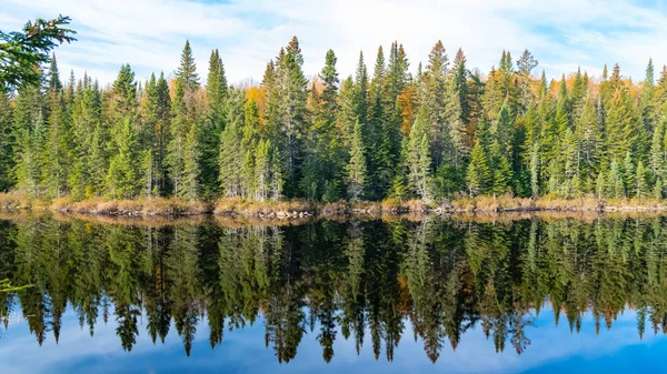 加拿大 整个森林中的一个湖的全景 在印度的夏天 倒映在水中的树木 — 图库照片