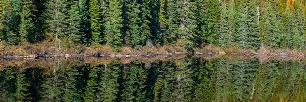 Kanada Panorama Över Sjö Skogen Den Indiska Sommaren Återspegling Träden — Stockfoto