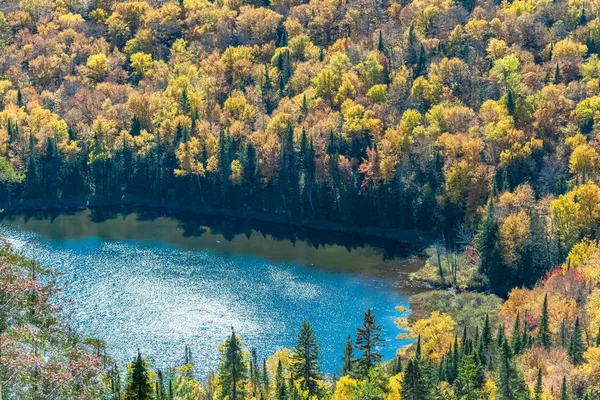 加拿大 整个森林中的高山湖景在印度的夏天 美丽的风景在一个野外国家 — 图库照片