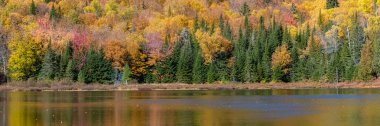 Kanada 'da ormanda bir göl, Hint yazı boyunca, ağaçların güzel renkleri.