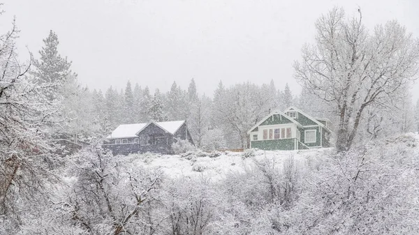 Houses Snow California Snow Storm — Stock Photo, Image