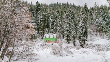 Sierra Nevada, Kaliforniya 'da dağda izole edilmiş renkli ahşap bir dağ evi.