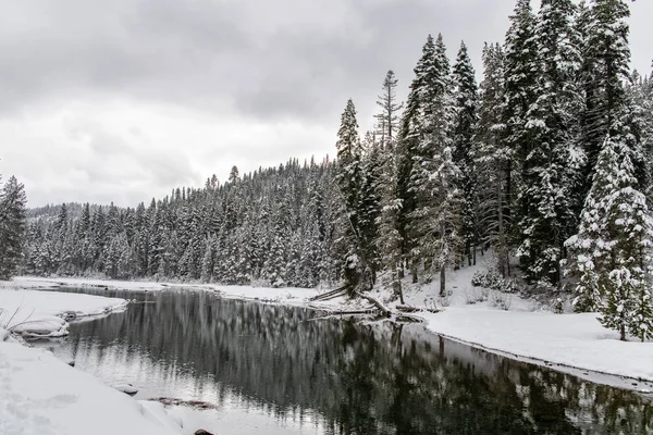 Sierra Nevada Kaliforniya Karın Altında Bir Nehir — Stok fotoğraf