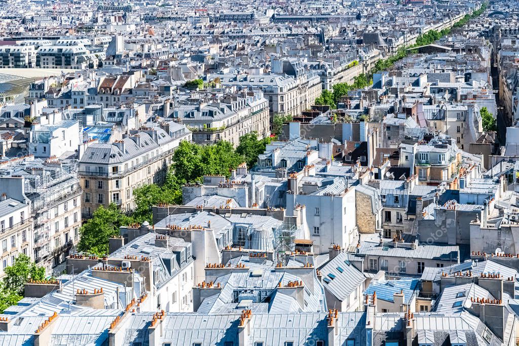 Paris, typical zinc roofs, aerial view of the city in the center 