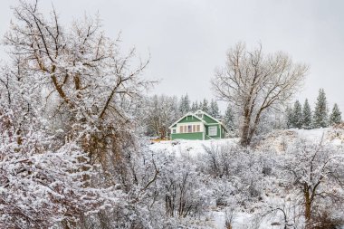 Kaliforniya 'da Truckee, kar fırtınası altında ahşap dağ evi, tipik mimari.