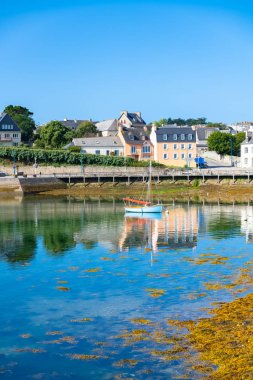Brittany 'deki Camaret-sur-Mer, liman ve tipik evler.