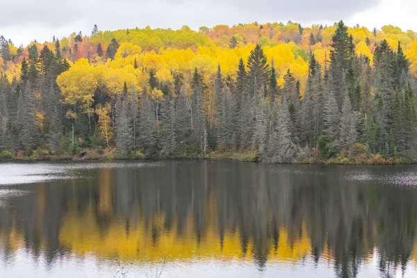 Kanada Panorama Över Fjällsjö Skogen Den Indiska Sommaren Vackert Landskap — Stockfoto
