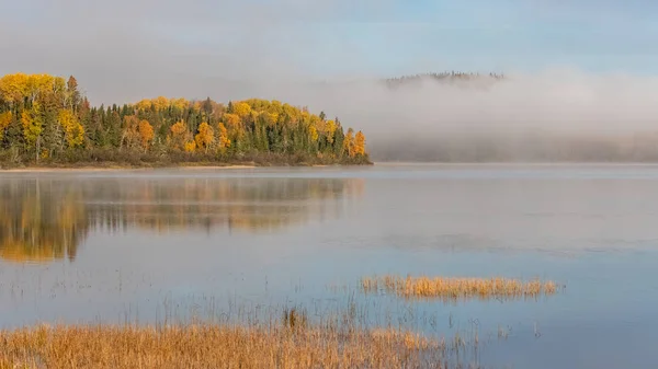 加拿大森林中的一个湖 在印度的夏天 早上有雾在水面上 — 图库照片