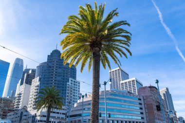 San Francisco, şehir merkezi, modern gökyüzü manzarası 