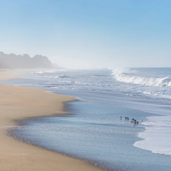 Half Moon Bay Beach Plajă Frumoasă California Răsărit Soare Coasta — Fotografie, imagine de stoc