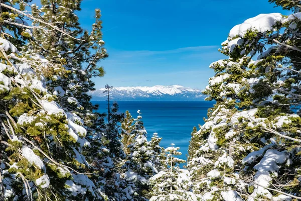 Lake Tahoe Panorama Mountain Lake Winter Sunny Day — Stock Photo, Image