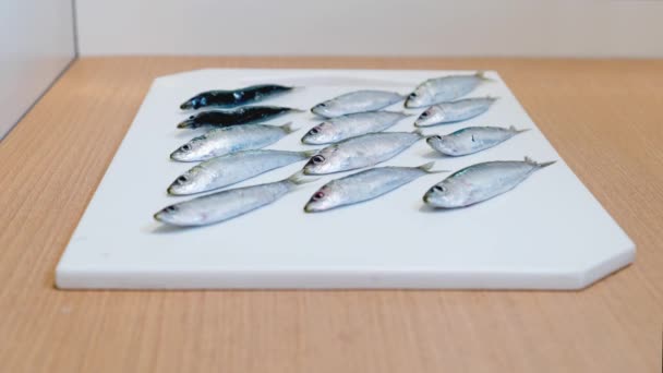 Råa sardiner på köksskärbrädan — Stockvideo