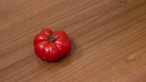 El tomate gira sobre la mesa — Vídeo de stock