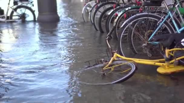 Veel fietsen in het midden van het water dat de stad overstroomt — Stockvideo