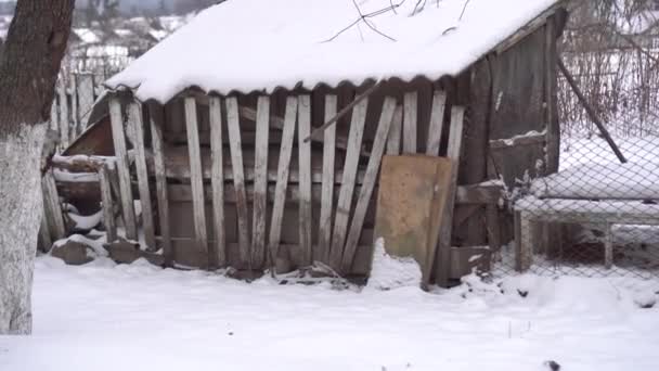 Karda terk edilmiş eski bir ahşap kulübe.