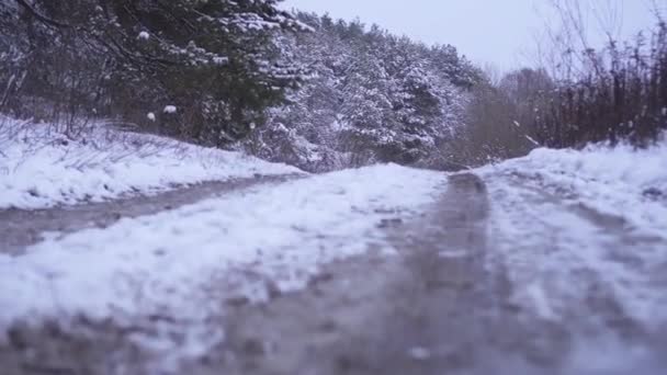 Camino en medio de árboles cubiertos de nieve — Vídeos de Stock