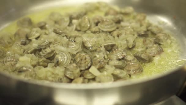 Le vongole sono fritte nella padella — Video Stock