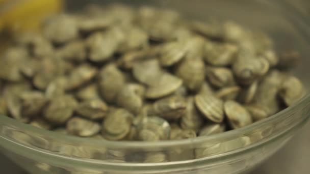 Fresh clams on a plate — Stock Video