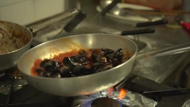 Miesmuscheln werden mit der Sauce in der Pfanne auf dem Herd vermischt — Stockvideo