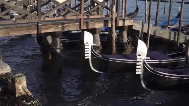 Gondeln schweben auf dem Wasser Venedigs — Stockvideo