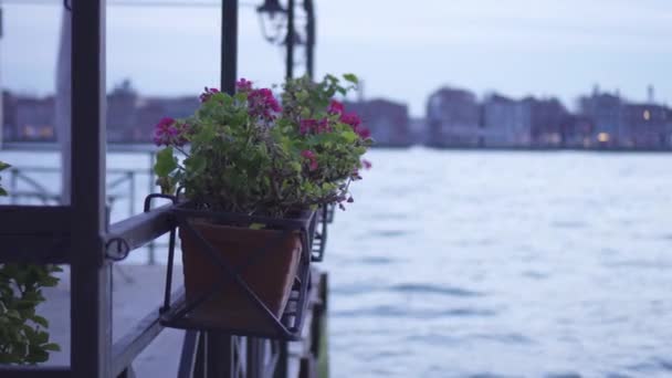 Vaser med blommor på en bar i Venedig framför vattnet — Stockvideo