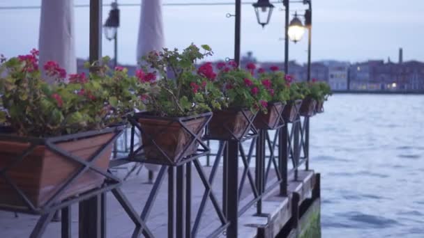 Vaser med blommor på en bar i Venedig framför vattnet — Stockvideo