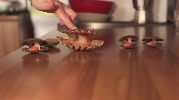 Гребешки живут на кухонном столе — стоковое видео
