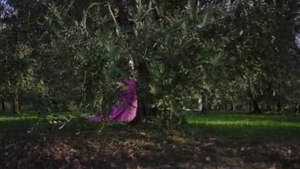Chica con vestido púrpura detrás del árbol — Vídeo de stock