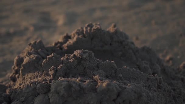 Fille marche pieds nus sur le sable briser un bâtiment — Video