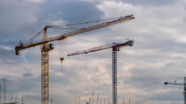 Bir vinç sağa sola döner.