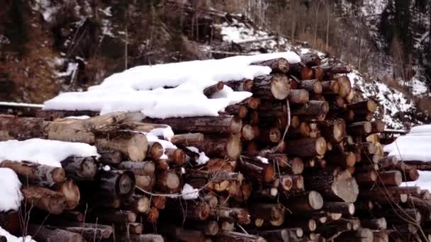 Opslag van met sneeuw bedekte houten stammen — Stockvideo